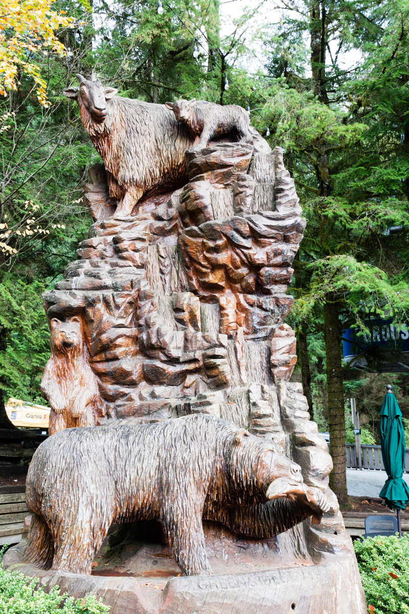 Illustration for article titled Pics from the (Mountain)side: 2016-10-10 at Grouse Mountain